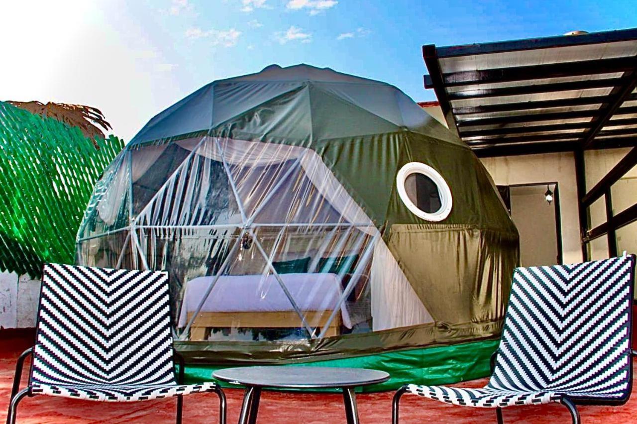 Anzures Black House Мехико Экстерьер фото