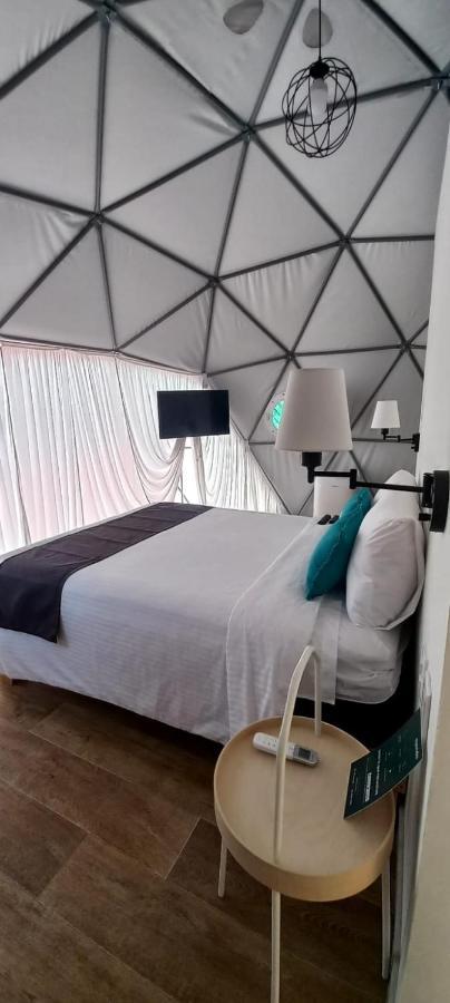 Anzures Black House Мехико Экстерьер фото